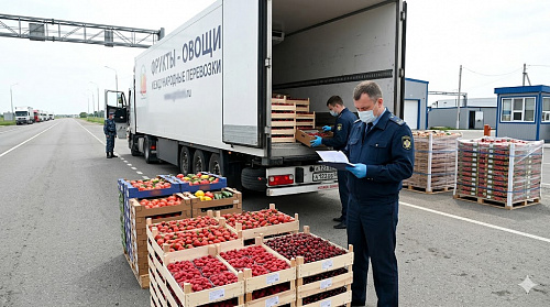 В Тюменскую область запретили ввозить 84 тонны ягод и овощей из-за нарушений